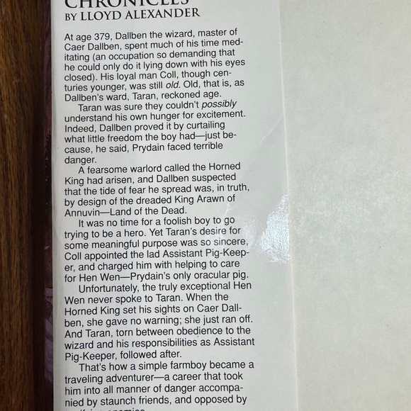 The Prydain Chronicles Hard Back Book - Picture 4 of 5